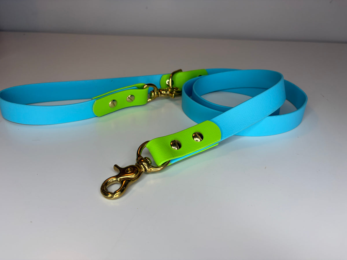5' Original Leash Sky Blue w Kiwi