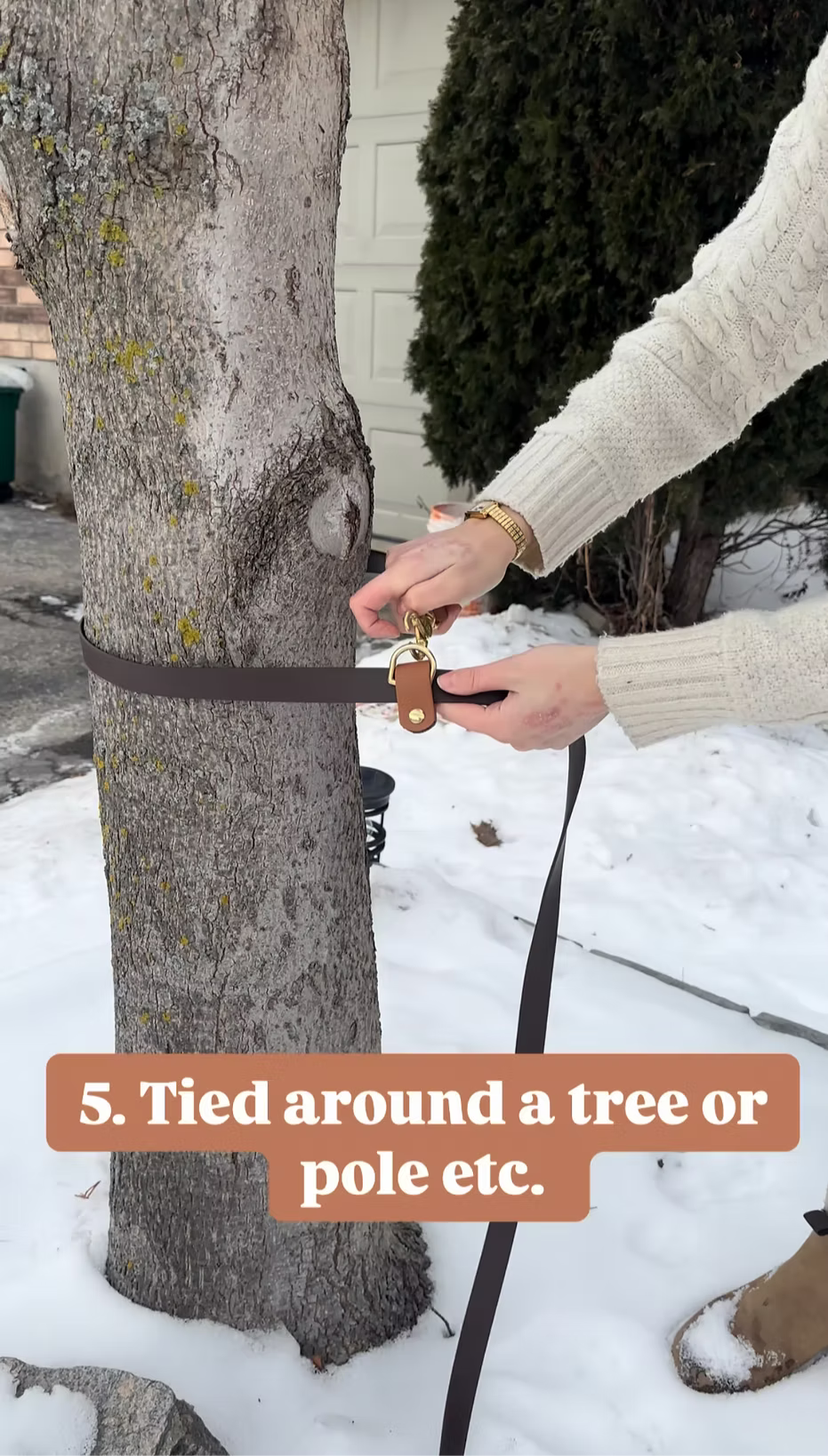 5-in-1 Hands Free Leash