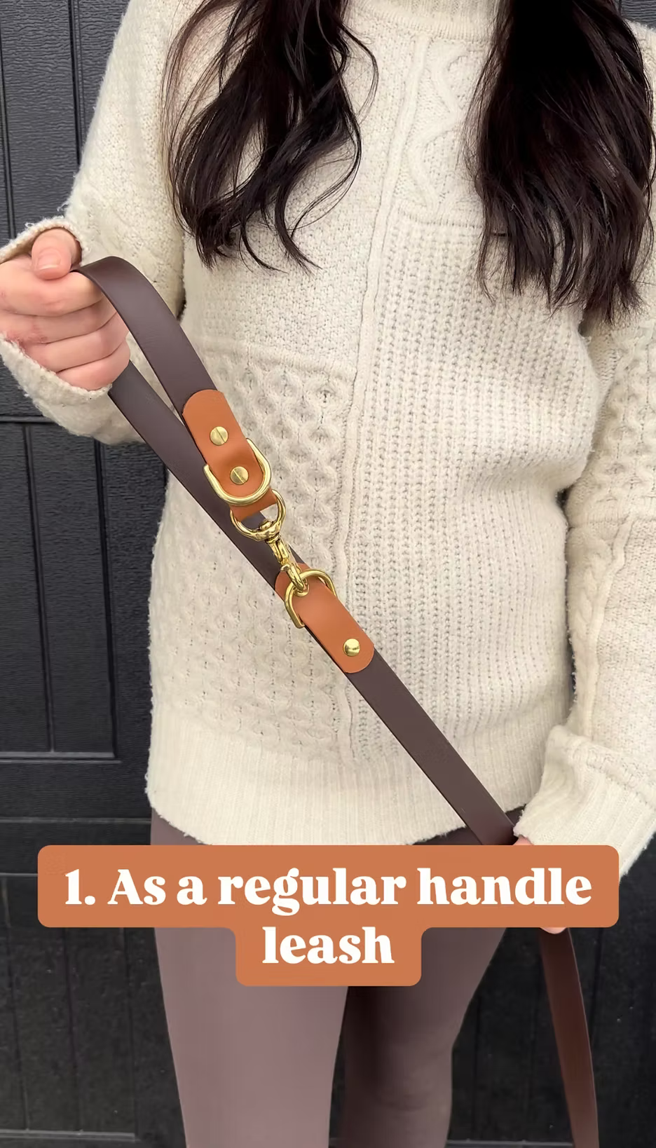 5-in-1 Hands Free Leash