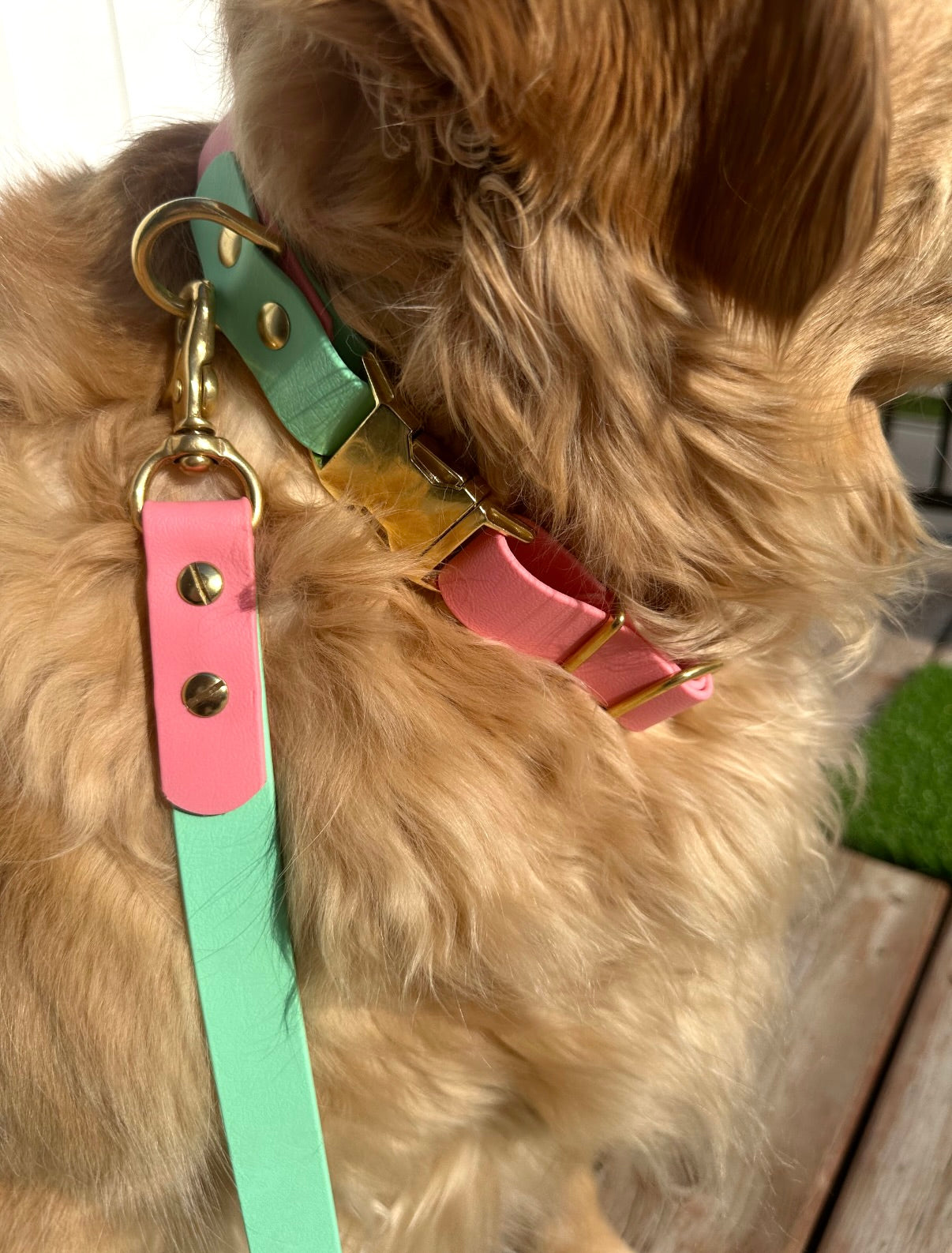 Adjustable Collar