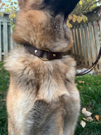 O-Ring Side Release Collar