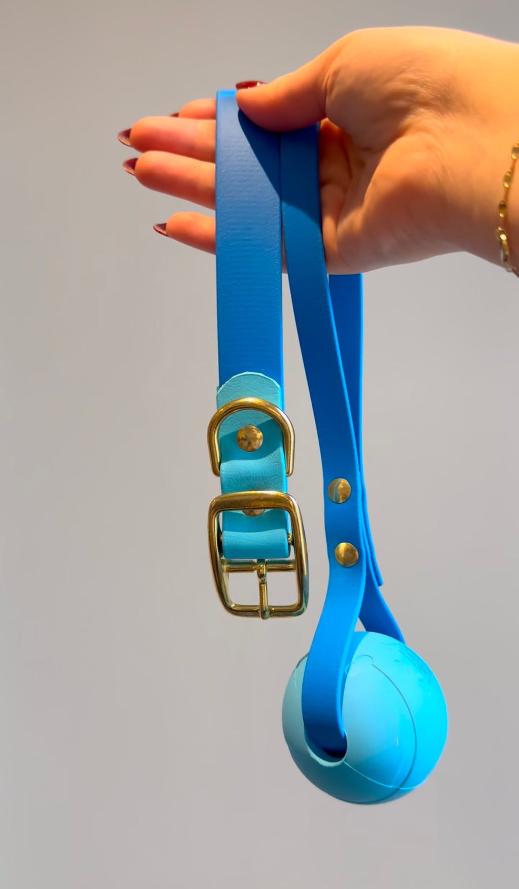 Buckle Collar