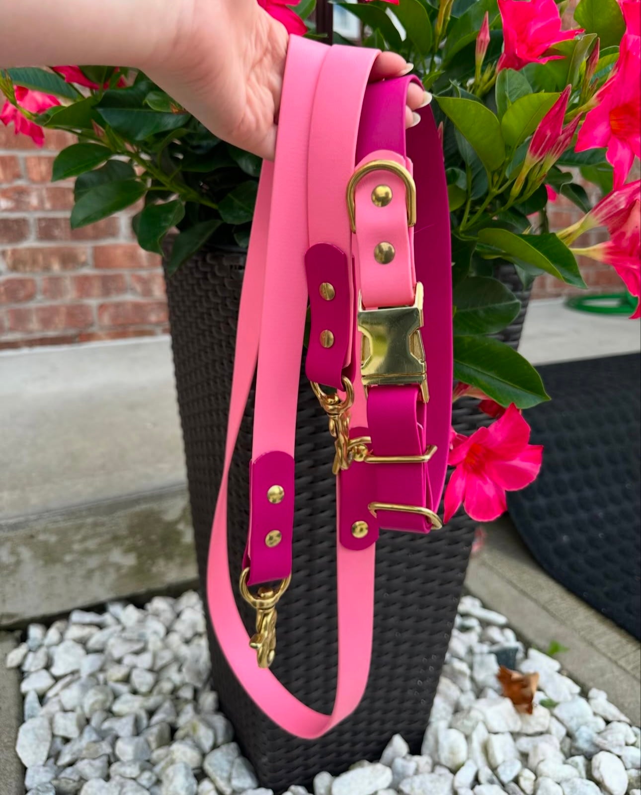 Adjustable Collar