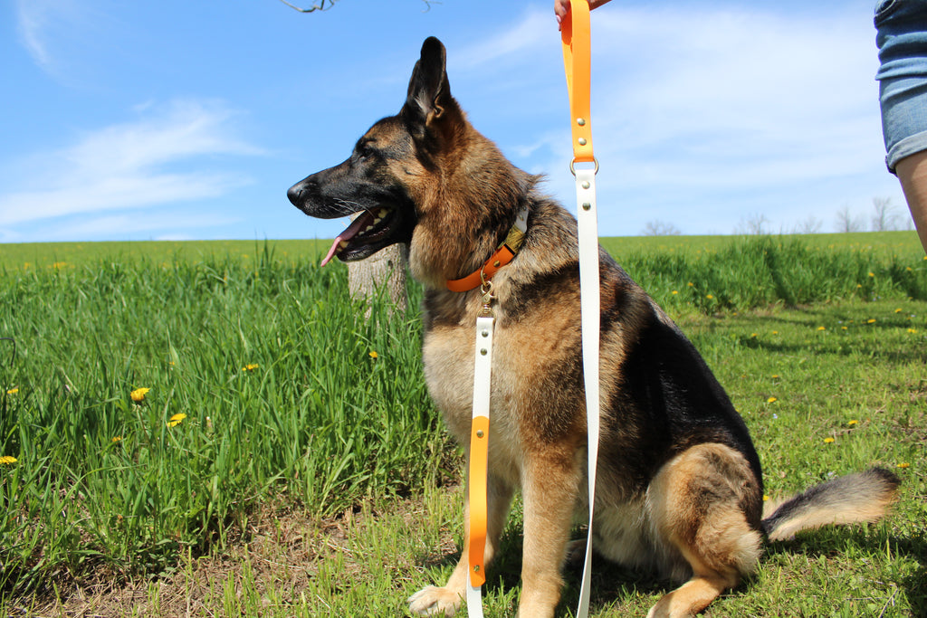 O-Ring Leash