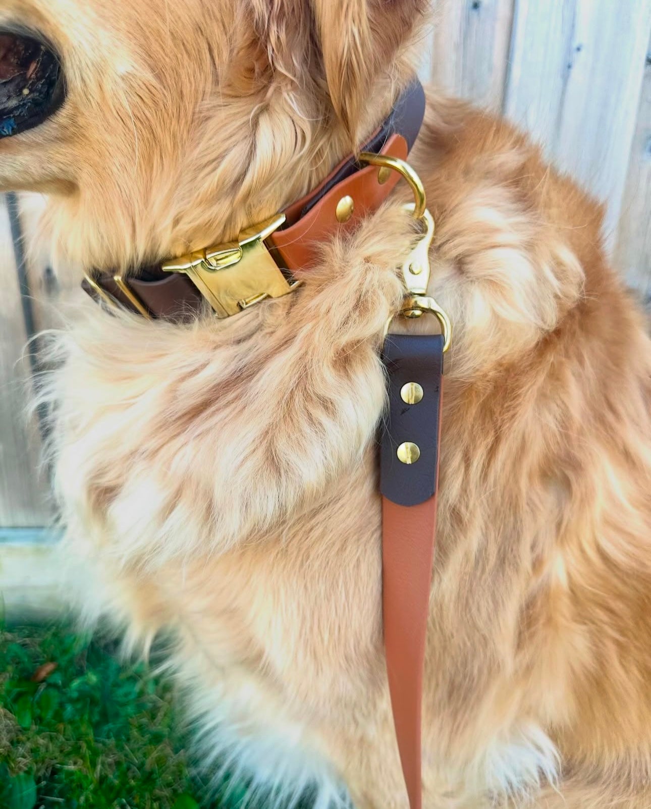 Adjustable Collar