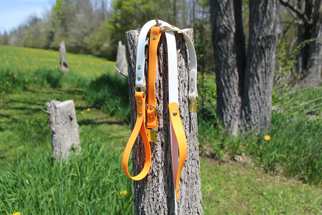 O-Ring Leash