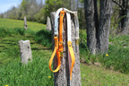 O-Ring Leash