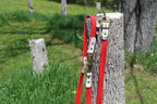 Buckle Collar