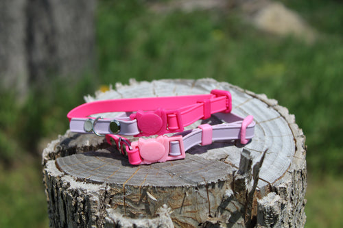 Cat Collar
