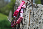 Cat Collar