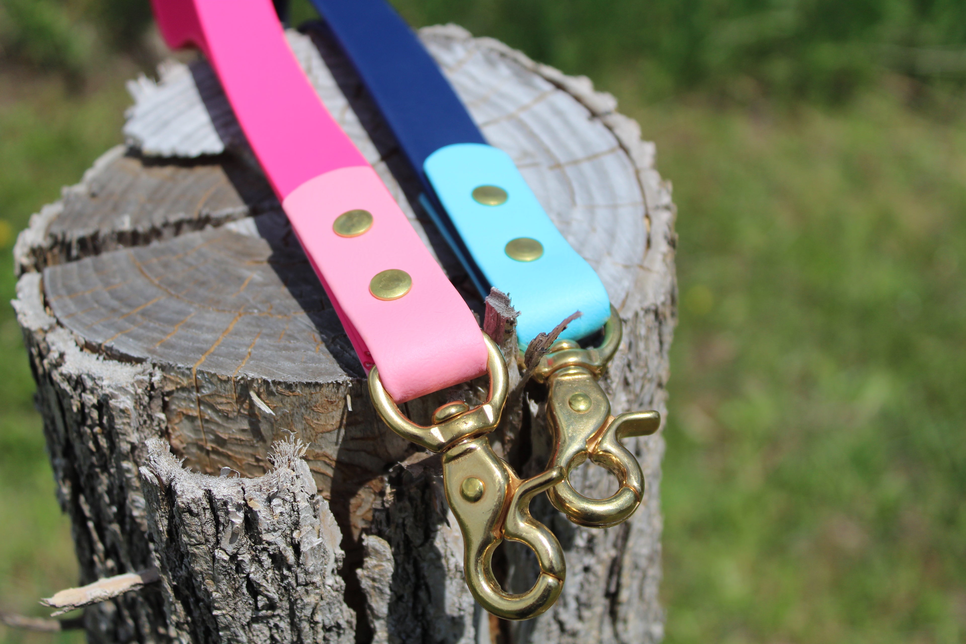 Leash Tab