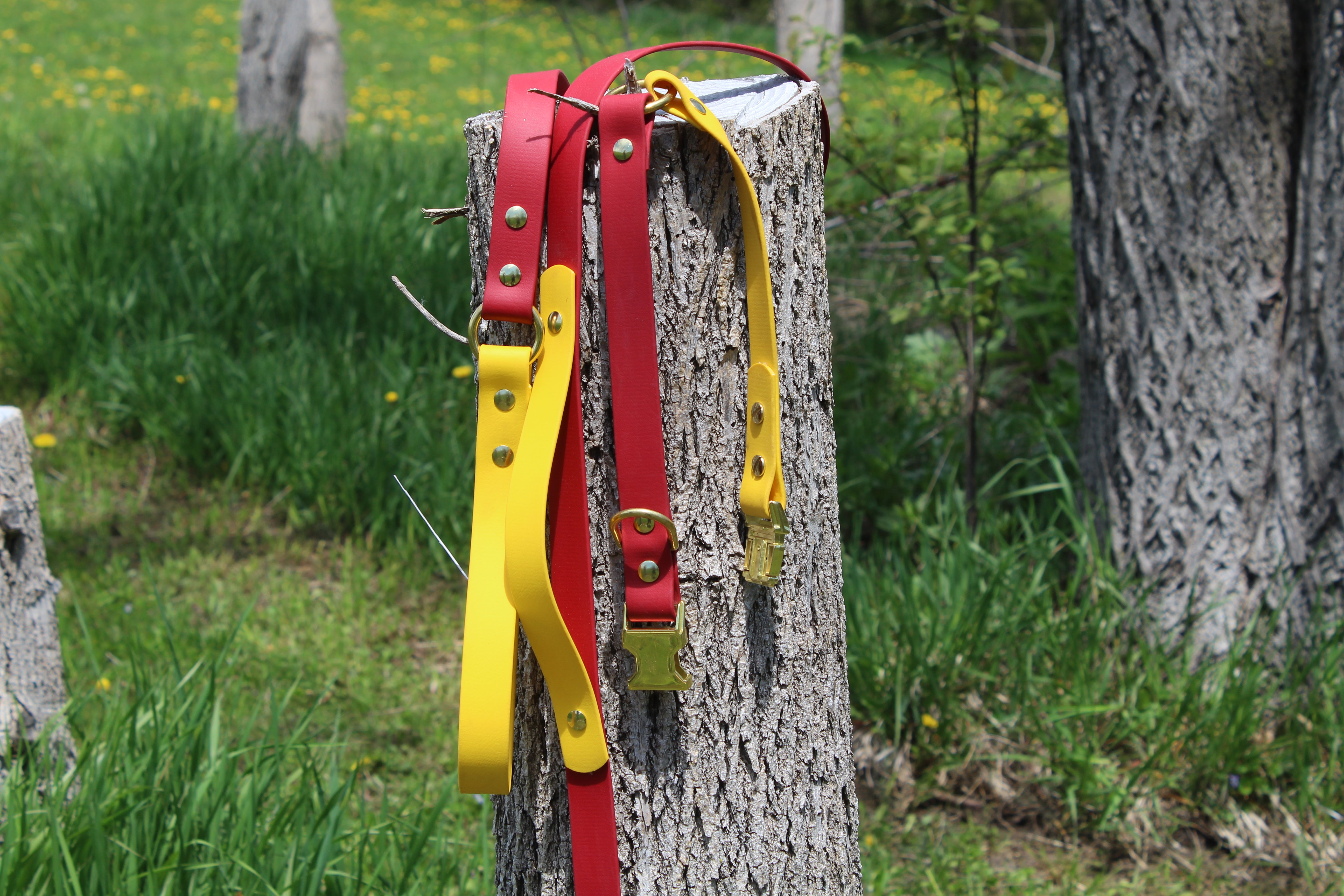 O-Ring Leash