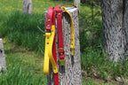 O-Ring Leash