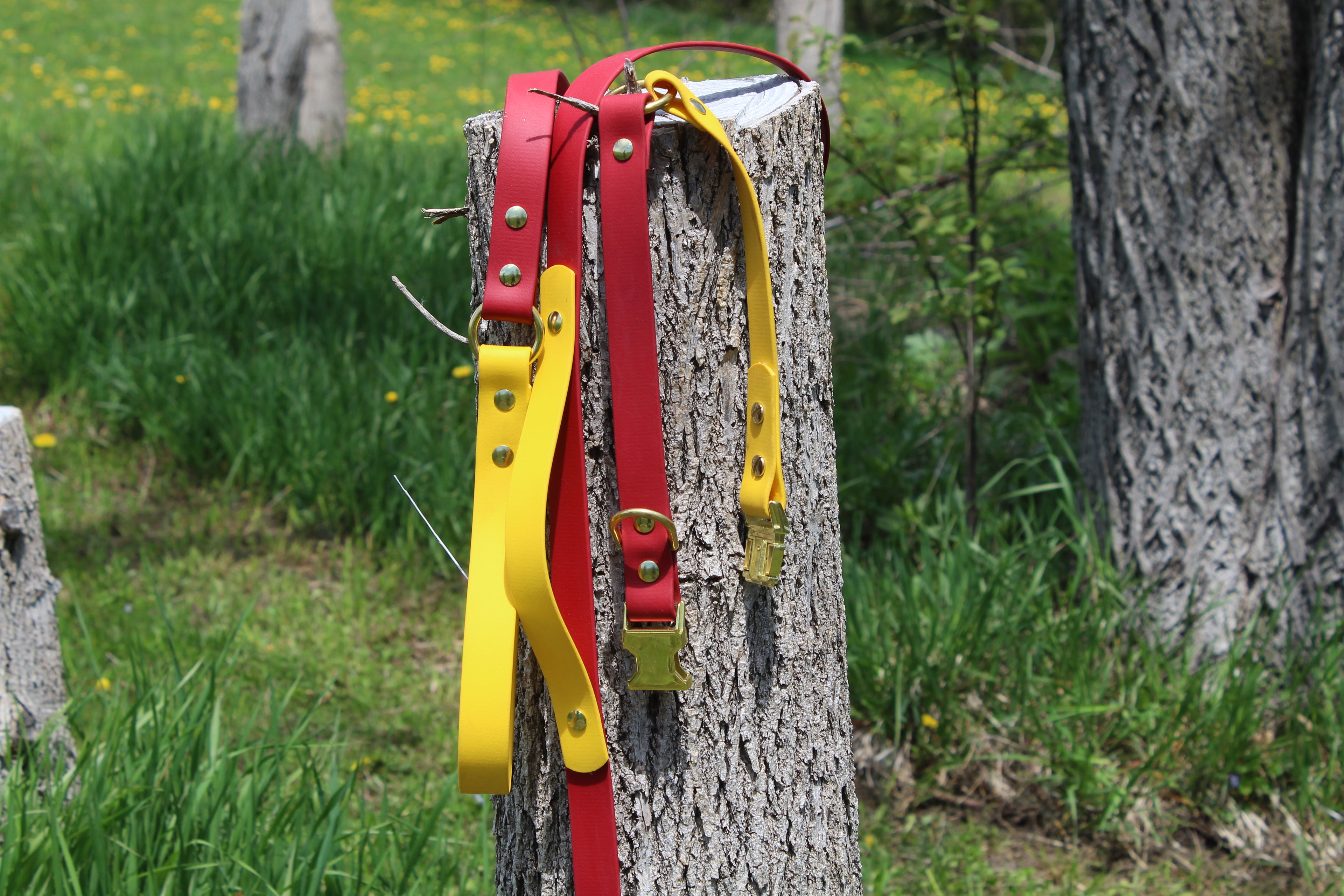 O-Ring Leash