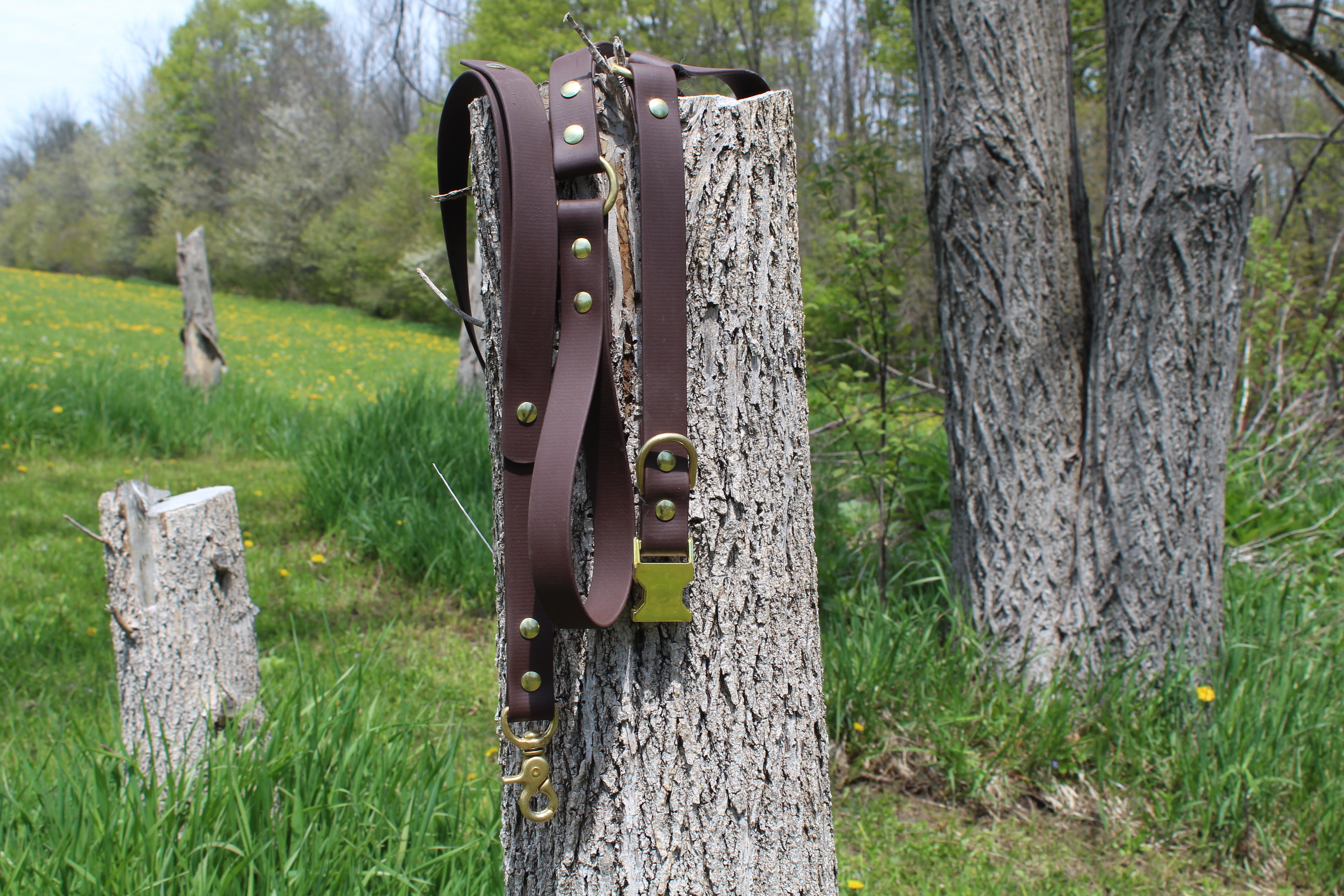 O-Ring Leash
