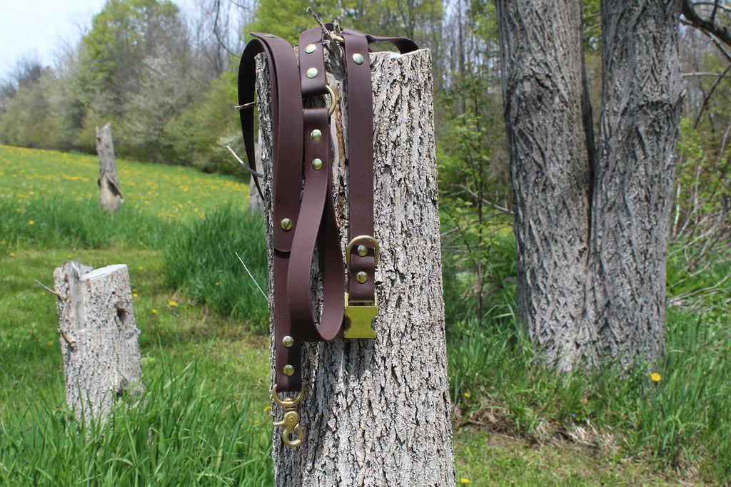 O-Ring Leash