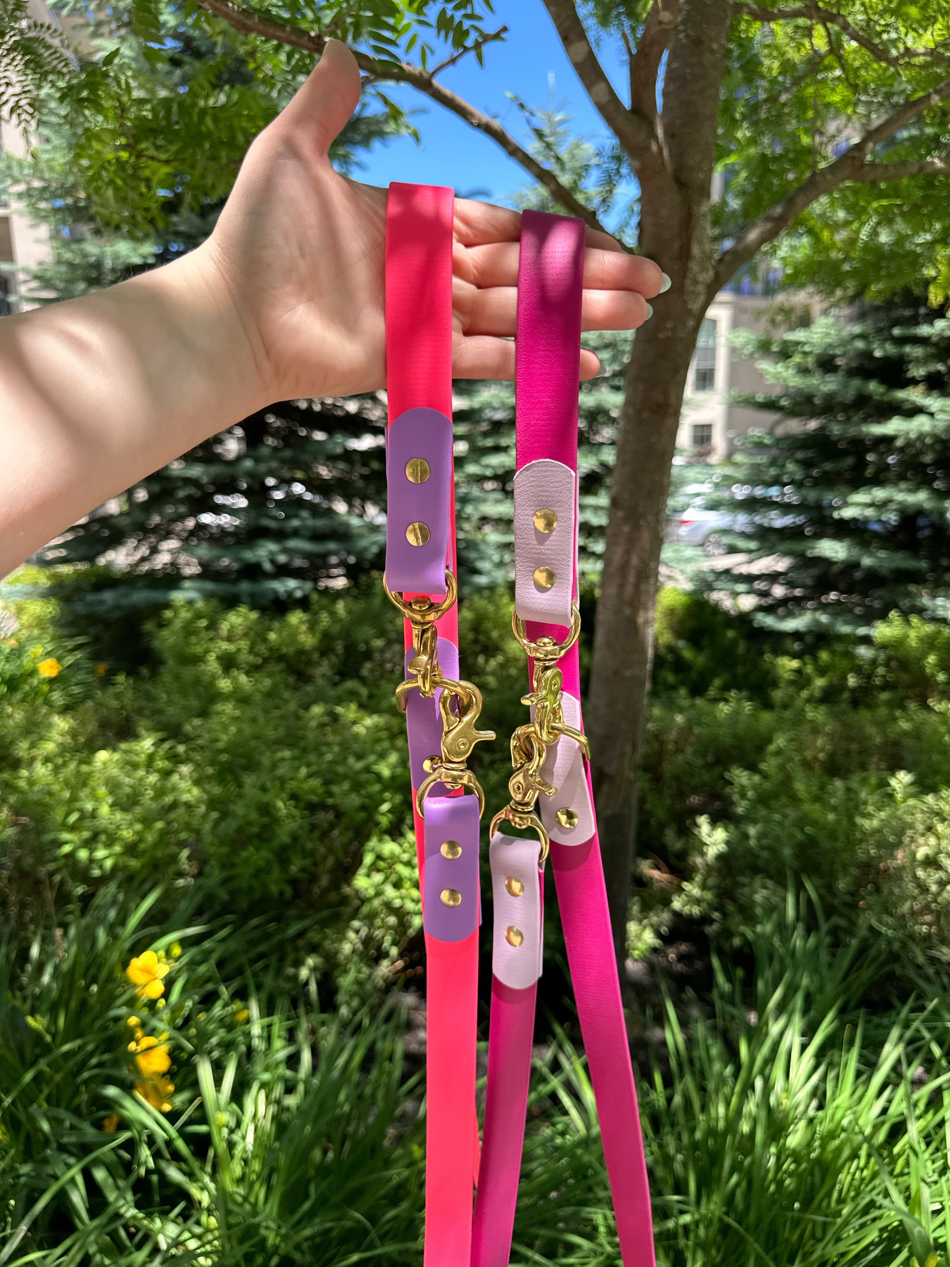 Original Leash
