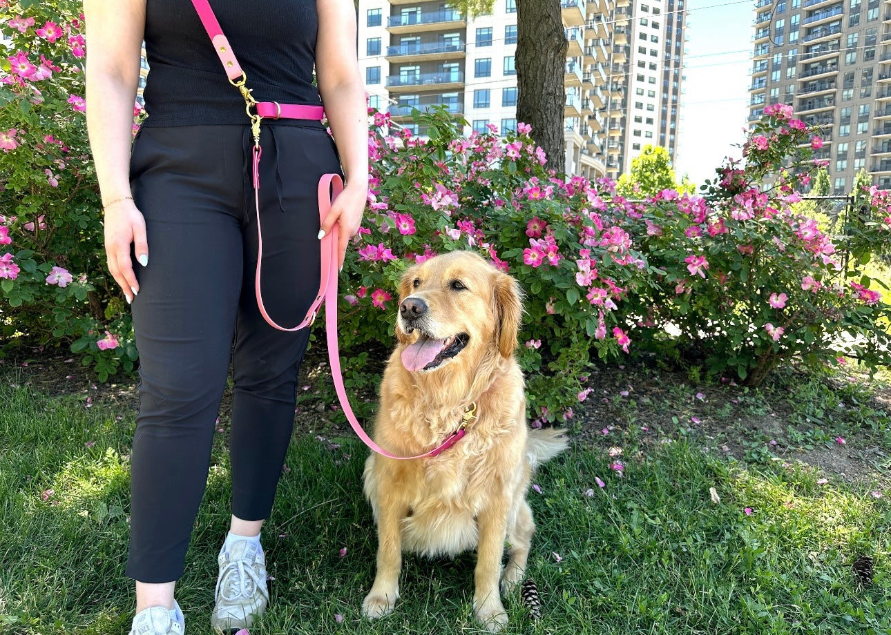 Original Leash