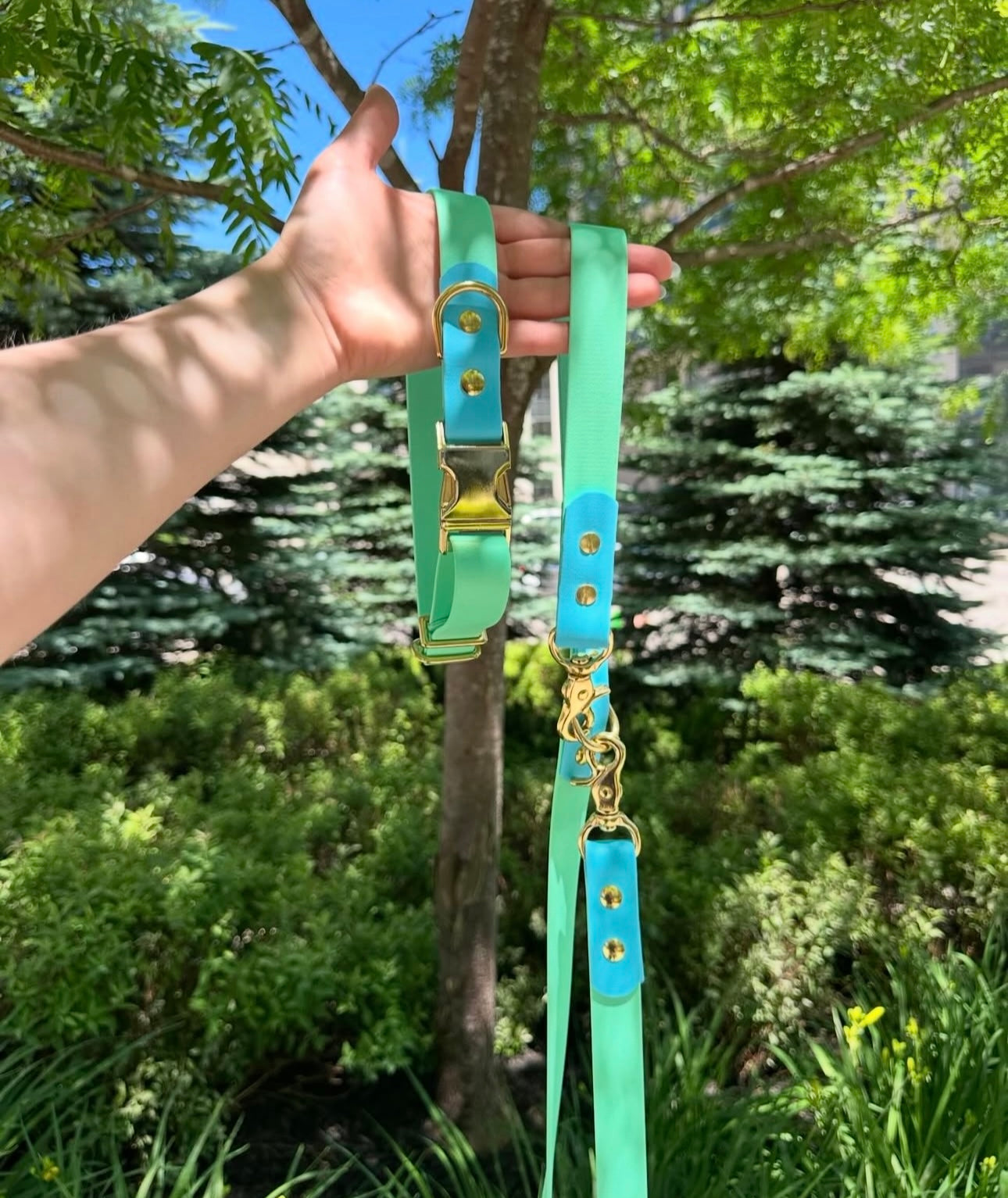 Adjustable Collar
