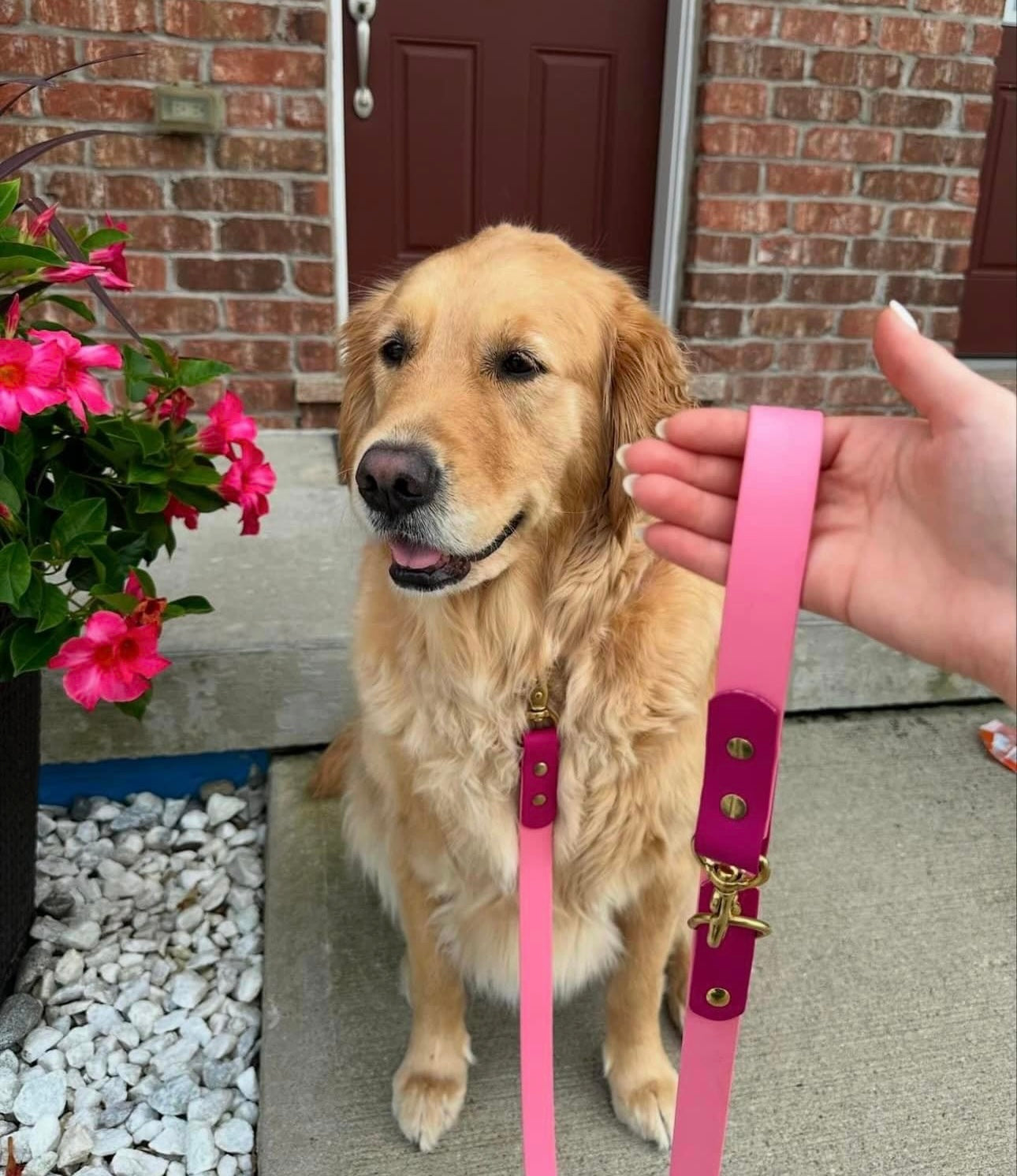 Original Leash