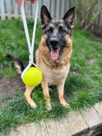 Toss & Tug Ball